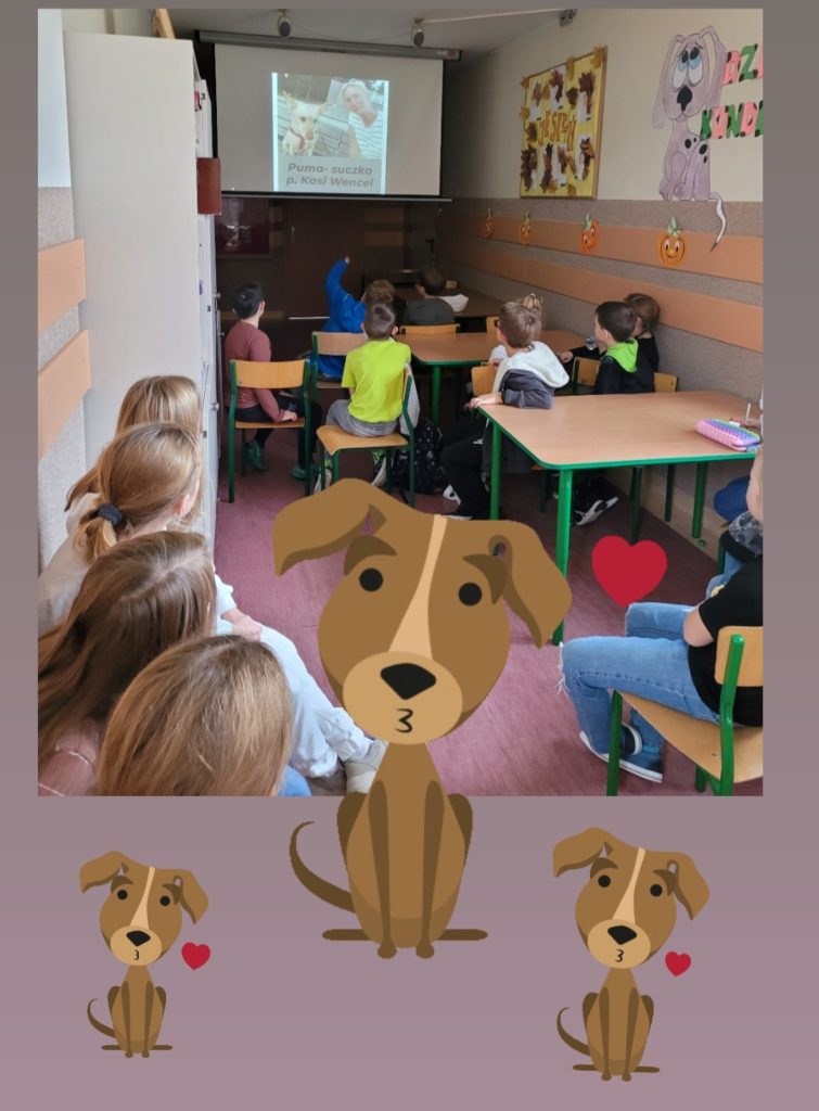 dzieci oglądają obrazy psów wyświetlane na ekranie