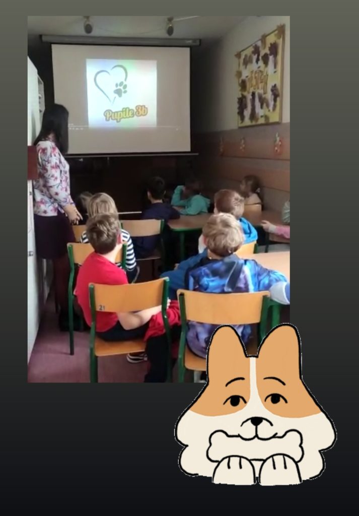 dzieci oglądają obrazy psów wyświetlane na ekranie