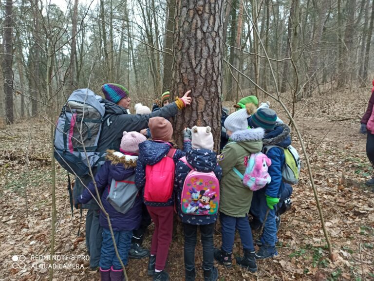 Uczniowie, razem z panią prowadzącą stoją wokół drzewa i przymocowują do kory szyszki. Dzieci dowiedziały się, że tak umocowane, mogą posłużyć jako pokarm dla dzięciołów.