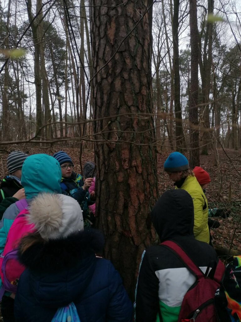 Dzieci, ubrane w kurtki i czapki, stoją wokół drzewa i patrzą na korę.