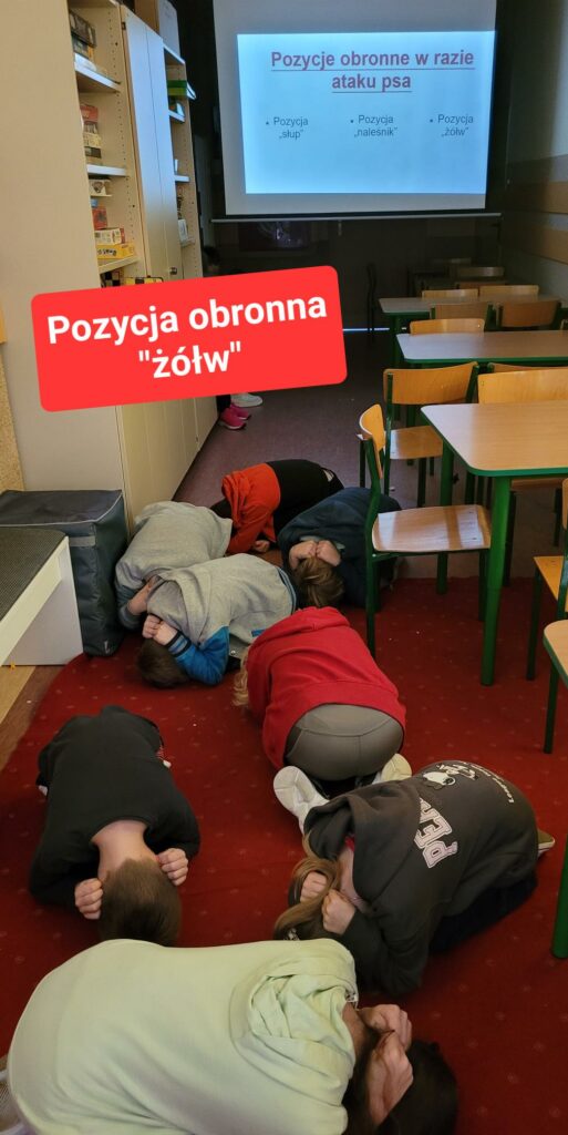 Na 艣rodku zdj臋cia widocznych jest 8 dzieci skulonych na pod艂odze, na czerwonej wyk艂adzinie. Dzieci maj膮 za艂o偶one na g艂ow臋 i zaci艣ni臋te pi臋艣ci. U g贸ry zdj臋cia wida膰 opuszczony ekran rzutnika a na nim wy艣wietlany slajd z napisem " Pozycje obronne w razie ataku psa". Pod napisem s膮 3 kolejne zdania : Pozycja "s艂up", pozycja "nale艣nik", pozycja "偶贸艂w". Po prawej stronie zdj臋cia widoczne s膮 drewniane stoliki oraz oraz krzes艂a oraz bia艂o- szara 艣ciana z 2 drewnianymi deskami, po lewej stronie zdj臋cia jest du偶a, szara szafa, a na niej gry planszowe, ciemnoszara pufa oraz cz臋艣膰 bia艂o- szarej 艂awy do siedzenia. Na 艣rodku zdj臋cia umieszczony zosta艂 bia艂y napis na czerwonym tle "Pozycja obronna "偶贸艂w" .