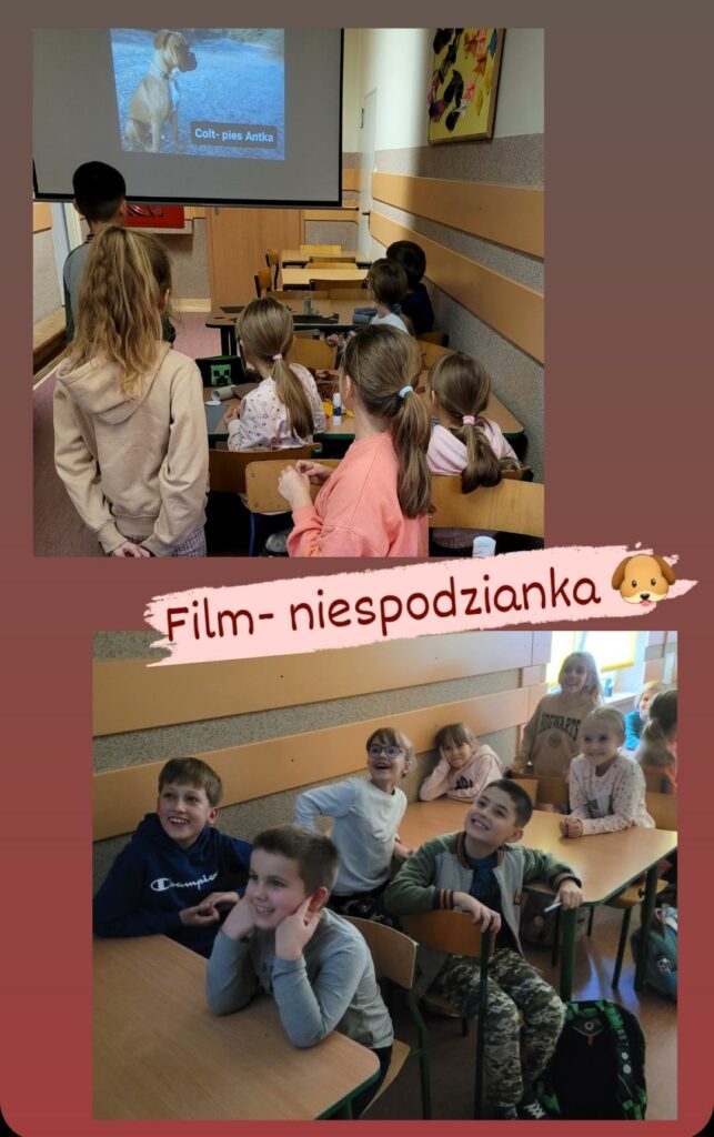 Zdj臋cie jest kola偶em 2 zdj臋膰, pomi臋dzy zdj臋ciami widnieje napis "film niespodzianka". Na zdj臋ciu nr 1 powy偶ej napisu mo偶na zobaczy膰 7 dzieci, 2 ch艂opc贸w i 5 dziewczynek. Dzieci odwr贸cone s膮 plecami, patrz膮 w kierunku wy艣wietlanego na ekranie rzutnika filmy z psem. 2 dzieci stoi, reszta siedzi na krzes艂ach, przy drewnianych stolikach. Wszystkie 5 dziewczynek maj膮 d艂ugie w艂osy zwi膮zane w kucyk. Za ekranem wida膰 kawa艂ek 艣ciany oraz drewniane drzwi, a po prawej stronie bia艂o- szar膮 艣cian臋 z drewnianymi deskami oraz wisz膮c膮 na niej tablice z 偶贸艂tym t艂em i pracami dzieci. Widoczna jest r贸wnie偶 bordowa pod艂oga, na kt贸rej stoj膮 dzieci. Zdj臋cie drugie, poni偶ej napisu przedstawia 9 siedz膮cych na krzes艂ach przy drewnianych stolikach dzieci. Na twarzach dzieci widoczne s膮 u艣miechy. Jest to 3 ch艂opc贸w i 6 dziewczynek. Jeden ch艂opiec ma brod臋 podpart膮 r臋koma. Na bordowej pod艂odze stoj膮 dwa dzieci臋ce plecaki. W tle dzieci widoczna szara elewacja 艣ciany z dwiema drewnianymi deskami.