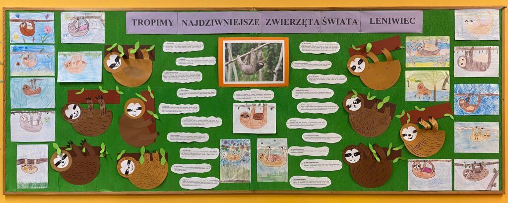 Tablica z informacjami na temat Leniwca oraz pracami plastycznymi dzieci przedstawiająca leniwce malowane oraz z papieru kolorowego.