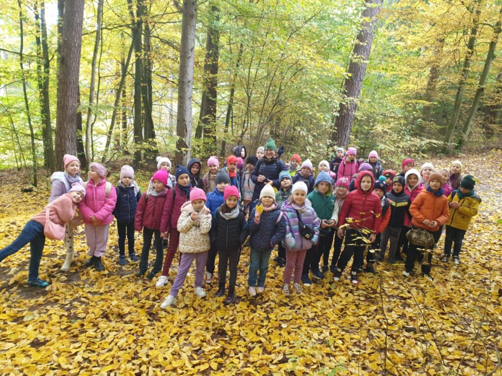 Na zdjęciu widzimy dużą grupę dzieci stojących w lesie, otoczonych przez drzewa i opadłe, żółte liście. Dzieci są ubrane w kolorowe kurtki i czapki, co wskazuje na jesień oraz chłodniejszą pogodę. Większość dzieci patrzy w stronę aparatu, uśmiechając się, co sugeruje, że są w dobrych humorach. Tło stanowi gęsty las z drzewami o jesiennym ulistnieniu, co tworzy piękną, naturalną scenerię. Cała grupa wygląda na zorganizowaną wycieczkę szkolną w plenerze.