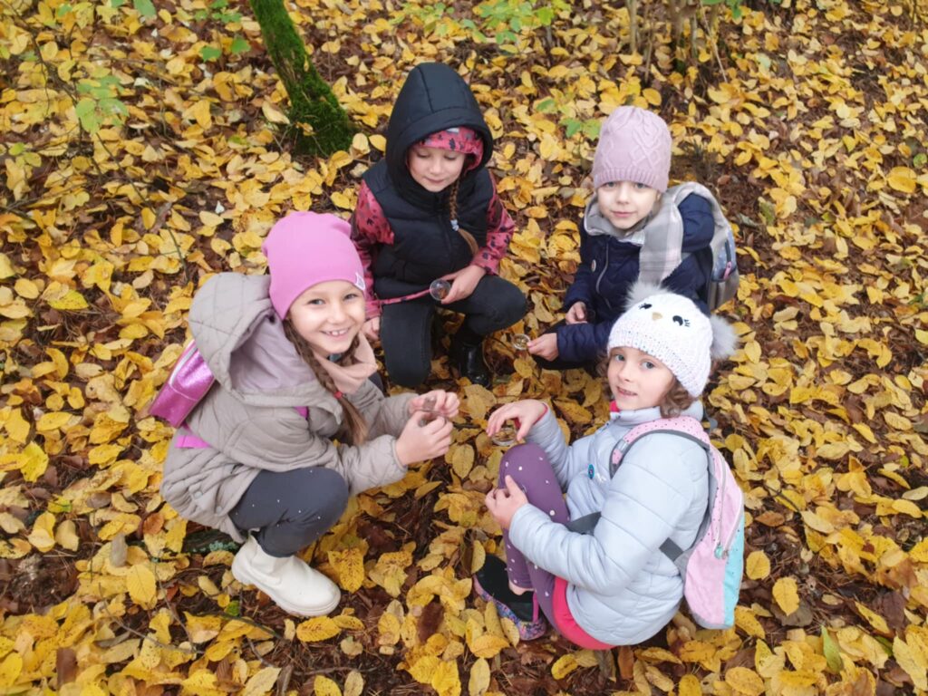 Na zdjęciu widzimy czwórkę dzieci siedzących w lesie na ziemi pokrytej żółtymi liśćmi, co sugeruje, że jest jesień. Dzieci są ubrane w ciepłe kurtki i czapki, co świadczy o chłodnej pogodzie. Każde z nich ma plecak, są na wycieczce w lesie. Wyglądają na zadowolone, a jedno z dzieci uśmiecha się do aparatu. Wszystkie są zajęte jakąś aktywnością, oglądają coś na ziemi lub zbierają jesienne skarby, jak liście lub kasztany.