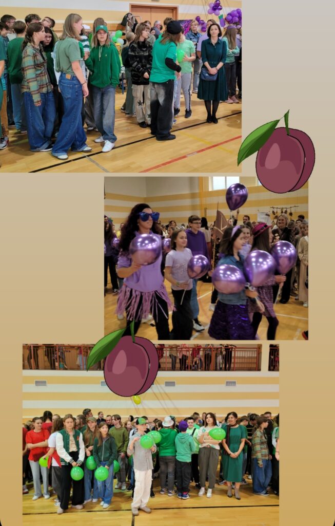 Na zdjęciu ponownie widzimy uczestników festynu „Warmińska Jesień” w sali gimnastycznej. Uczestnicy ubrani są tematycznie w różne kolory. Na pierwszym i trzecim zdjęciu dominują osoby ubrane na zielono, trzymające zielone balony. Widać młodzież oraz nauczycieli, którzy wspólnie biorą udział w wydarzeniu. Na środkowym zdjęciu widać grupę osób ubranych na fioletowo, trzymających fioletowe balony, z czego niektórzy mają akcesoria takie jak duże okulary. Wystrój i stroje nawiązują do motywu jesieni, a uczestnicy tworzą radosną, pełną życia atmosferę.