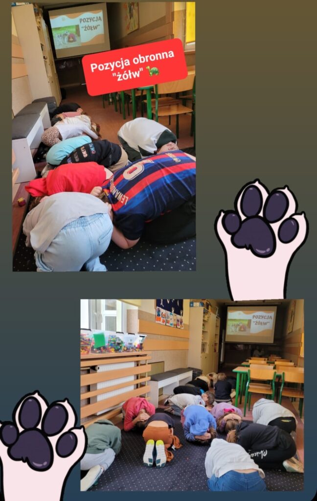 Na zdjęciu widać grupę dzieci w klasie wykonujących tzw. "pozycję obronną żółwia". Uczniowie siedzą na kolanach i pochylają się do przodu, zakrywając rękami głowy, co przypomina postawę ochronną. Na ekranie wyświetlana jest instrukcja dotycząca tej pozycji, podpisana jako "Pozycja obronna żółw", z grafiką żółwia. W tle widać szkolne meble, stoliki, krzesła oraz dekoracje ścienne. Całość wygląda na ćwiczenia lub szkolenie dotyczące bezpieczeństwa w razie zagrożenia.