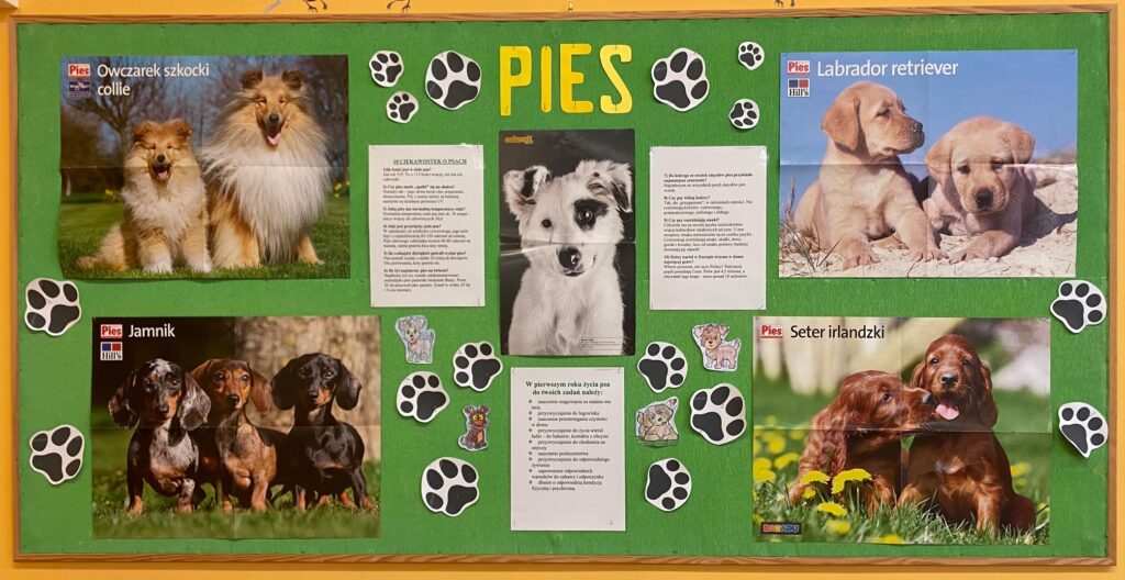 Tablica z informacjami na temat psów i zdjęciami różnych ras psów, na zielonym tle widoczne odciski psich łapek.