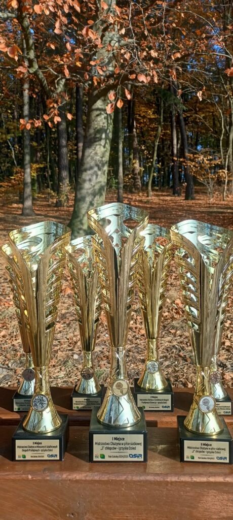 Na zdjęciu znajduje się pięć złotych pucharów ustawionych na drewnianej ławce, w otoczeniu lasu jesienią. Puchary mają ozdobne, metalowe kształty i szerokie kielichy. Na podstawach każdego z nich znajdują się tabliczki z napisami informującymi o zajętych miejscach w różnych zawodach sportowych, organizowanych przez OSiR (Ośrodek Sportu i Rekreacji). Z opisu na tabliczkach wynika, że są to nagrody za mistrzostwa Olsztyna w różnych konkurencjach sportowych dla młodzieży. Tło stanowią drzewa w jesiennych kolorach, z liśćmi w odcieniach pomarańczowo-brązowych.