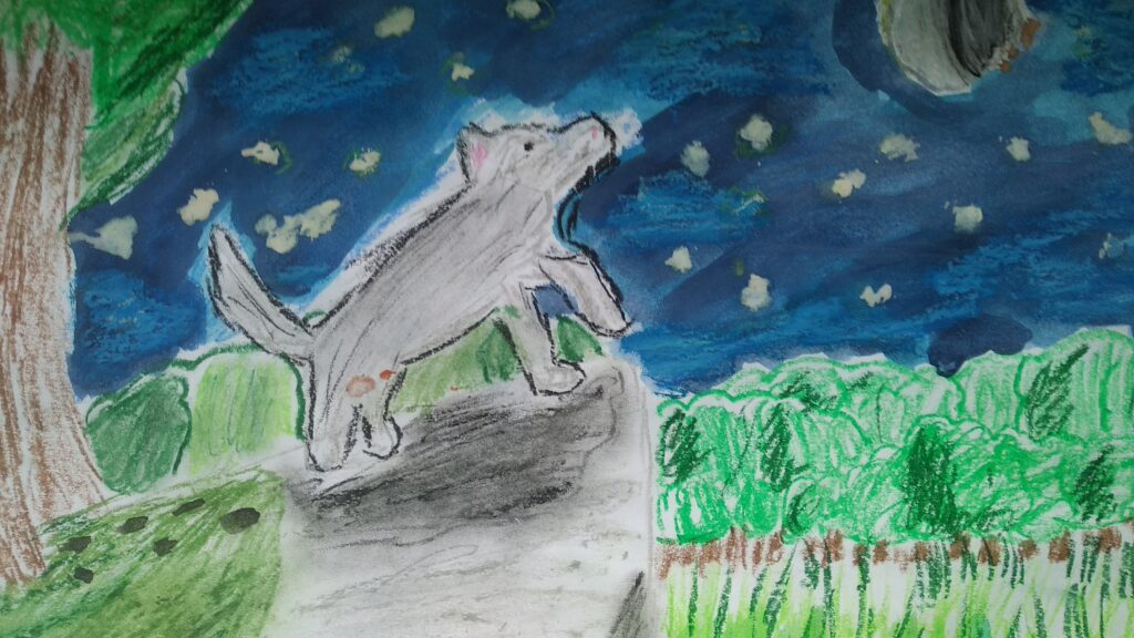 Przedstawia krajobraz warmiński- na górce stoi wilk ,po jego prawej stronie znajduje się drzewo, w dole las, jest noc, świeci księżyc i gwiazdy.