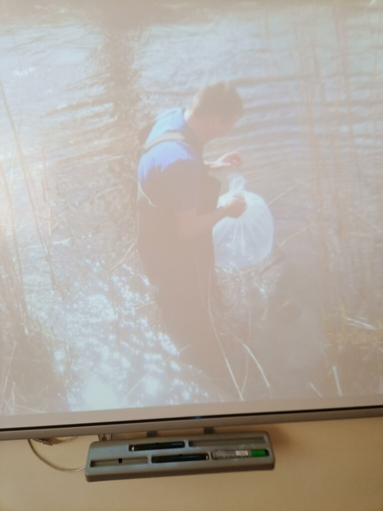 Pan stoi w wodzie i wypuszcza małe rybki w celu zarybienia akwenu