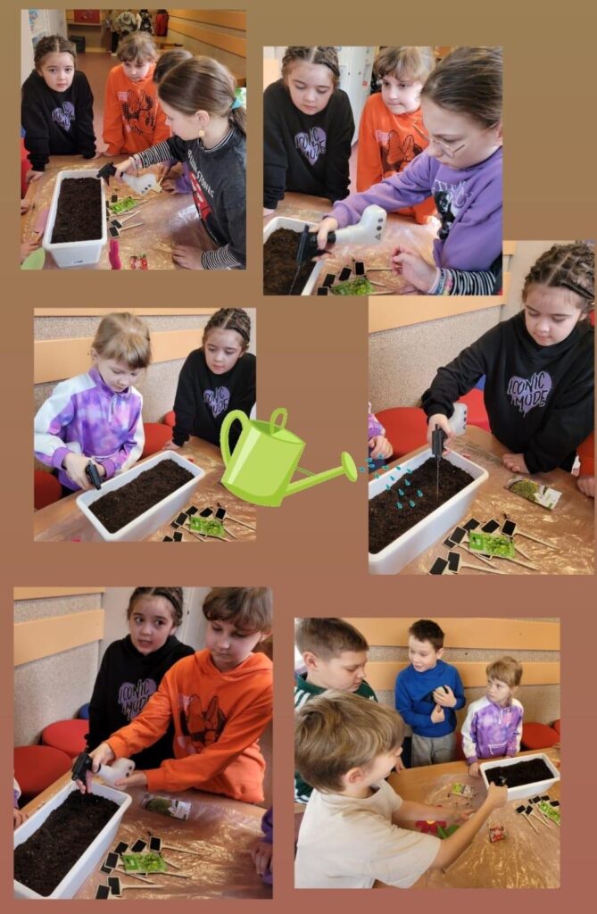 Na zdjęciach przedstawiony jest kolejny etap realizacji świetlicowego projektu ogrodniczego. Dzieci z zaangażowaniem uczestniczą w sadzeniu i pielęgnacji roślin. Fotografie ukazują moment wysiewu nasion oraz podlewania ziemi. Uczniowie używają spryskiwacza do nawilżania gleby, a także starannie umieszczają nasiona w przygotowanej doniczce. Widać, że pracują zespołowo, wymieniając się zadaniami i pomagając sobie nawzajem. W tle można dostrzec stolik zabezpieczony folią, na którym znajdują się paczki z nasionami oraz tabliczki do oznaczania posadzonych roślin. Całość uzupełnia grafika przedstawiająca konewkę, podkreślająca tematykę podlewania i dbania o rośliny. Zdjęcia pokazują, jak dzieci poprzez praktyczne działanie uczą się o przyrodzie i rozwijają umiejętności ogrodnicze.