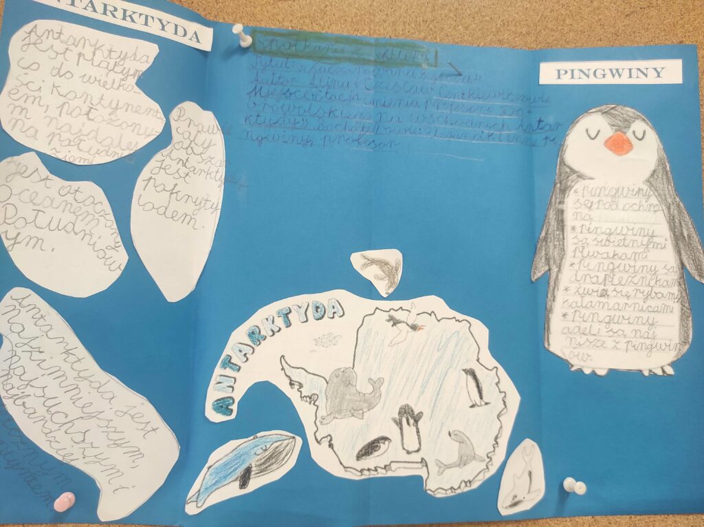 Na zdjęciu widać otwarty lapbook o Antarktydzie i pingwinach, wykonany na niebieskiej kartce. Jest to praca plastyczno-edukacyjna, prawdopodobnie inspirowana książką "Zaczarowana zagroda" Aliny i Czesława Centkiewiczów.Opis elementów lapbooka: 1. Lewa strona – AntarktydaNagłówek "ANTARKTYDA"Ręcznie napisane informacje o Antarktydzie na białych wycinankach w kształcie kawałków lodu. Narysowana mapa Antarktydy z pingwinami, fokami i wielorybem. Rysunek niebieskiego wieloryba na dole.2. Prawa strona – PingwinyNagłówek "PINGWINY" Duży rysunek pingwina z tekstem na jego brzuchu, zawierającym ciekawostki o tych ptakach. Informacje o różnych gatunkach pingwinów i ich sposobie życia.3. Środek – Informacje o książceRęcznie napisane notatki o "Zaczarowanej zagrodzie" – zawierające tytuł, autorów i krótkie podsumowanie fabuły. Lapbook jest starannie wykonany, zawiera własnoręczne rysunki oraz ręcznie pisane informacje.