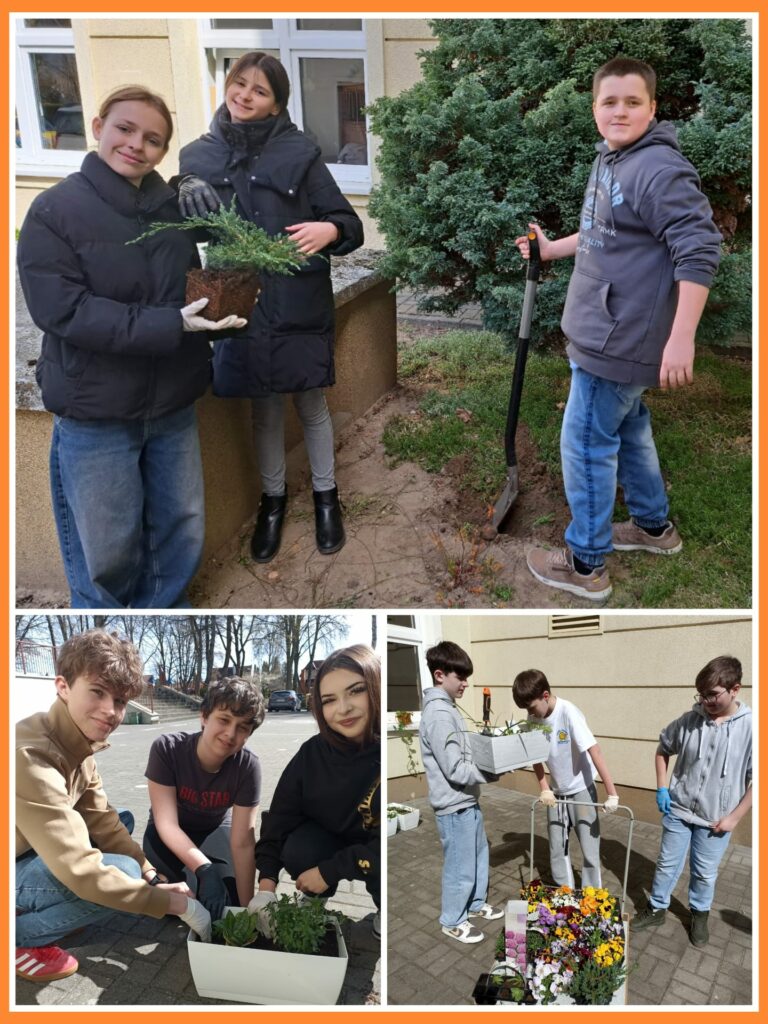 Na kolażu widzimy uczniów pracujących wspólnie podczas szkolnej akcji sadzenia kwiatów. W górnej części zdjęcia widać dwie dziewczynki i chłopca stojących przed szkołą w otoczeniu krzewów, trzymają sadzonkę iglaka, a chłopiec kopie łopatą dołek w ziemi. W lewym dolnym rogu kolażu widać troje starszych uczniów, którzy klęczą na chodniku i z uśmiechem sadzą rośliny do białych donic. W prawym dolnym zdjęciu jeden uczeń niesie skrzynkę z gotową kompozycją kwiatową, a obok dwóch kolegów stoi przy wózku wypełnionym kolorowymi roślinami. Uczniowie pracują z zaangażowaniem, wykorzystując rękawiczki i podstawowe narzędzia ogrodnicze. Kolaż pokazuje, że uczniowie nie tylko uczą się współpracy, ale także dbają o estetykę i przyjazne otoczenie