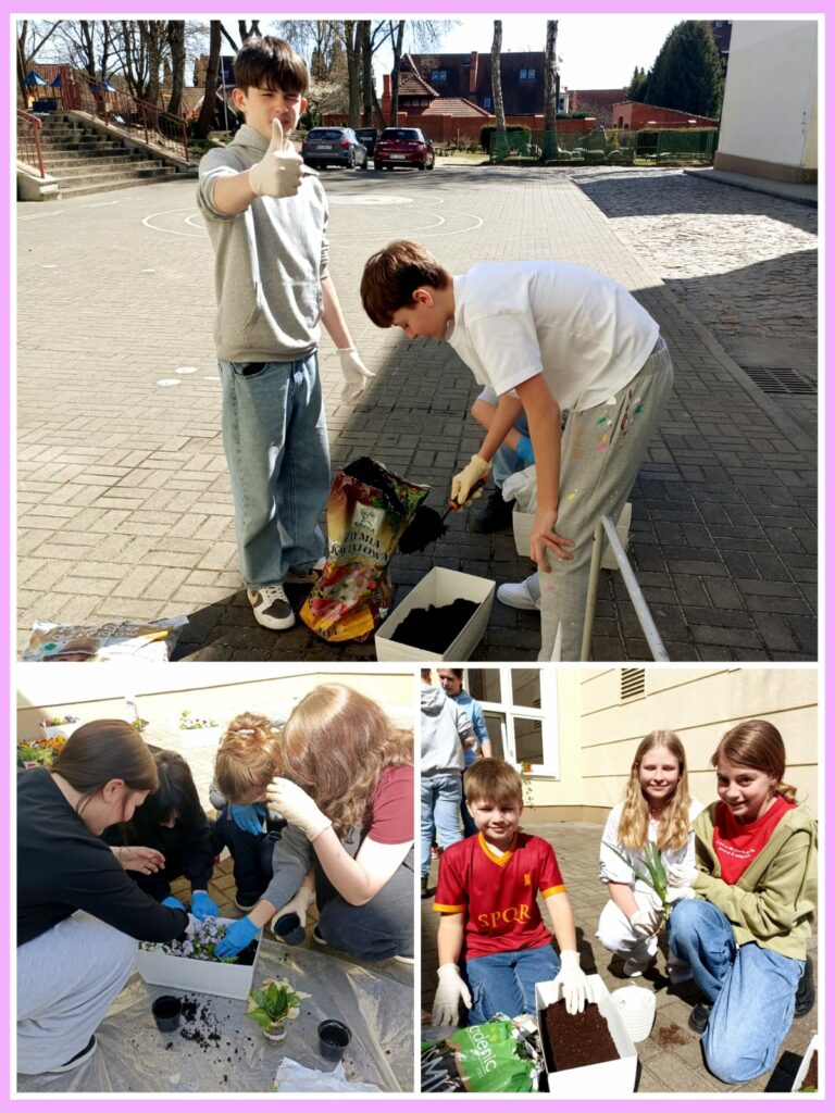 Na kolażu widać dzieci uczestniczące w zajęciach ogrodniczych na świeżym powietrzu. Na górnym zdjęciu dwóch chłopców pracuje przy sadzeniu roślin - jeden z nich pokazuje kciuk w górę, co świadczy o jego zadowoleniu. Obok niego drugi chłopiec napełnia doniczkę ziemią z worka. Na środkowym zdjęciu grupa dzieci z zaangażowaniem sadzi kwiaty, używając rękawiczek ochronnych. Na dolnym zdjęciu po lewej widzimy czworo dzieci pochylonych nad doniczkami i pracujących zespołowo. Po prawej stronie troje dzieci, uśmiechniętych i dumnych z efektów swojej pracy, pozuje z gotową doniczkę z roślinami. Zdjęcia pokazują nie tylko naukę przez działanie, ale także radość ze wspólnego tworzenia czegoś pięknego.