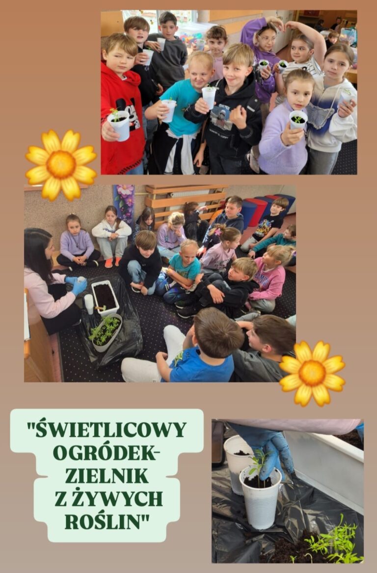 Na kolażu widzimy podsumowanie działań dzieci w ramach projektu „Świetlicowy ogródek – zielnik z żywych roślin”. Górne zdjęcie ukazuje uśmiechniętych uczniów z dumą prezentujących własnoręcznie zasadzone roślinki w kubeczkach. Środkowe ujęcie przedstawia moment edukacyjny – dzieci skupione wokół nauczycielki, która instruuje, jak prawidłowo przesadzać sadzonki. W dolnym rogu uchwycono fragment pracy: ręka w rękawiczce ostrożnie umieszcza sadzonkę w plastikowym kubku. Całość opatrzono tytułem projektu i ozdobiona grafikami żółtych kwiatków, co dodaje ciepła i optymistycznego klimatu.