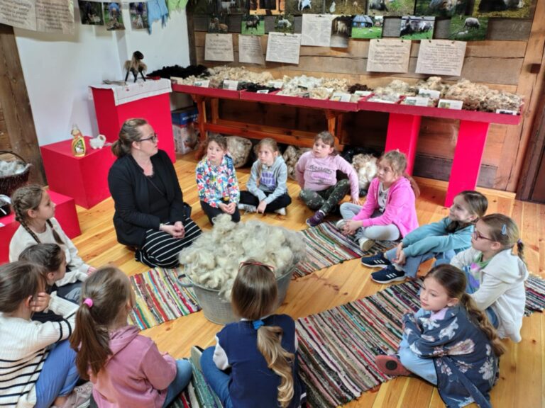 Zdjęcie przedstawia grupę dzieci uczestniczących w warsztatach edukacyjnych pod tytułem „Od owcy do sweterka”. Dzieci siedzą w kręgu na kolorowych dywanikach na drewnianej podłodze, uważnie słuchając kobiety – najprawdopodobniej prowadzącej zajęcia. W centrum znajduje się duży kosz pełen runa owczego. W tle widoczne są różne ekspozycje z próbkami wełny oraz plansze informacyjne i zdjęcia ukazujące owce, przędzenie i inne etapy produkcji wełny. Atmosfera jest ciepła i edukacyjna – dzieci wydają się zaciekawione tematem. To zdjęcie doskonale oddaje ideę nauki przez doświadczenie i zabawę – dzieci poznają proces powstawania swetra od momentu strzyżenia owcy, aż po gotowy produkt.