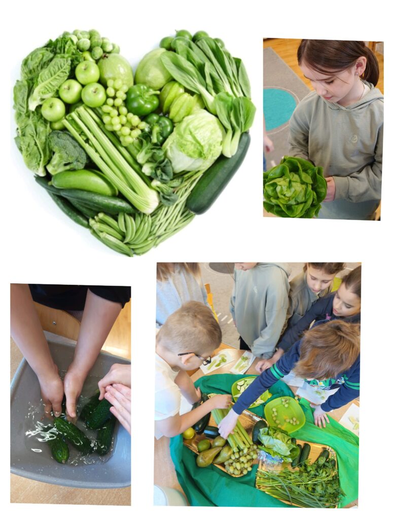 Kolaż zdjęć związanych ze zdrowym odżywianiem. W lewym górnym rogu widoczne są różne zielone warzywa i owoce ułożone w kształt serca (m.in. sałata, jabłka, winogrona, seler, ogórek, cukinia). W prawym górnym rogu dziewczynka trzyma w rękach główkę sałaty i przygląda się jej. W lewym dolnym rogu ręce myją ogórki w misce z wodą. W prawym dolnym rogu grupa dzieci stoi przy stole i przygotowuje przekąski z zielonych warzyw i owoców.